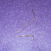 1-10264.jpg