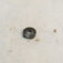 1-10462.jpg