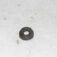 1-10464.jpg