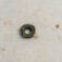1-10466.jpg