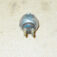 1-10803.jpg