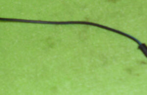 1967 1968 1969 Fairlane Torino Ranchero Cyclone DASH COURTESY LIGHT WIRING PLUG