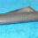 1-12490.jpg