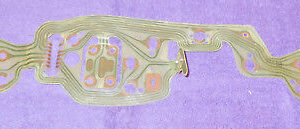 1969 1970 Mustang Mach 1 Grande Boss Convert ORIG GAUGE PRINTED CIRCUIT w/o TACH
