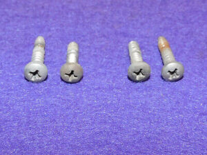 1969 1970 Mustang Fastback Mach1 Boss Grande Conv ORIG PARKING LIGHT LENS SCREWS