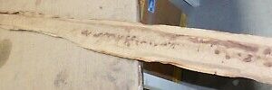 1973-1975 Mercury Monterey Custom Marquis Brougham NOS RH ROCKER PANEL MOULDING
