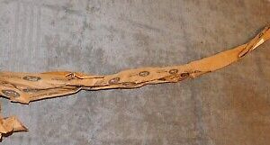 1982 Ford Escort Mercury Lynx NOS 1.6 Liter 4-CYL CARBURETOR THROTTLE CABLE