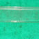 1-16100.jpg