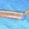 1-19350.jpg