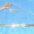 1-19460.jpg