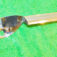 1-20506.jpg