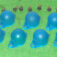 1-21032.jpg