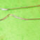 1-2149.jpg
