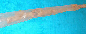 1959 Mercury Monterey Montclair Park Lane Voyager NOS RH FRONT FENDER MOULDING