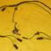 1-5154.jpg