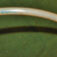 1-5220.jpg