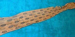 1975-1980 Ford Granada Sedan Coupe NOS REAR TRUNK LID LUGGAGE COMP DOOR MOULDING