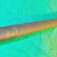 1-5859.jpg