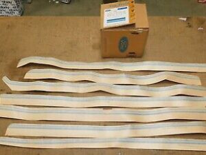 1981-1985 Ford Escort Station Wagon NOS Tutone Blue BODY STRIPE DECAL KIT