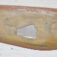 1-7689.jpg