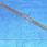 1-8545.jpg