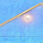 1-8548.jpg