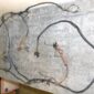 57-1248.jpg