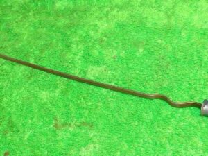 1965-1967 Ford Mustang Shelby Bronco Fairlane Cougar ORIG 289 Hipo OIL DIPSTICK