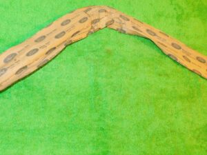 1978-1982 Ford Fairmont Zephyr 54 Sedan NOS RH REAR DOOR WINDOW OUTSIDE MOULDING