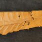 57-6875.jpg