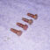 T2eC16FzUE9s38-PGBRlW97KKTQ60_1.jpg