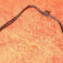 T2eC16NHJHQFFhJ-ZtBSHp16c1360_1.jpg