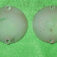 1-1161.jpg