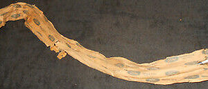 1979 1980 1981 1982 Mustang Capri NOS 2.3 L 4 CYLINDER CARBURETOR THROTTLE CABLE