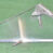 1-3405.jpg