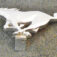 1-3767.jpg