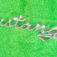 1-4690.jpg