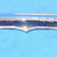 1-4893.jpg