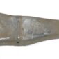 57-3592.jpg