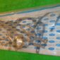 57-3197.jpg