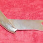 57-1181.jpg