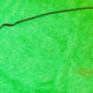 57-1219.jpg