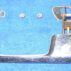57-2358.jpg