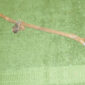 57-3714.jpg