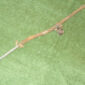 57-3715.jpg