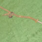 57-3718.jpg