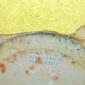 57-4292.jpg